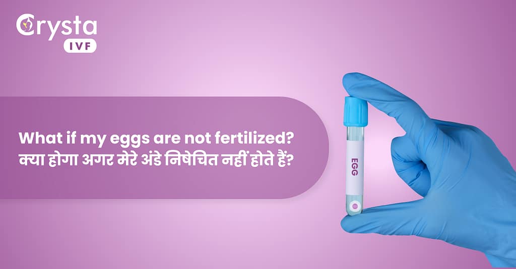 क्या होगा अगर मेरे अंडे निषेचित नहीं होते हैं, what if my eggs are not fertilized