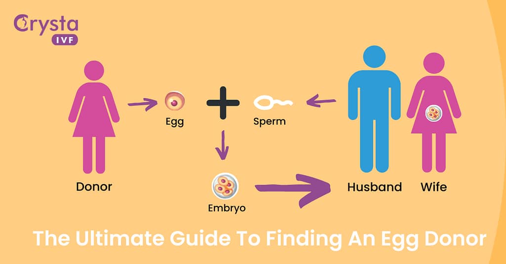 Finding An Egg Donor