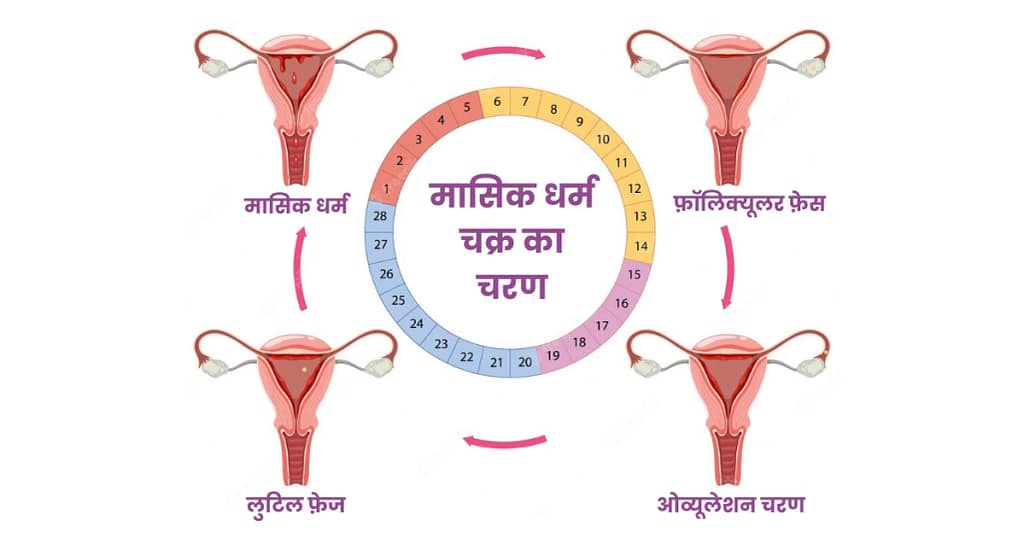 पीरियड के कितने दिन बाद प्रेग्नेंट हो सकते हैं। 3