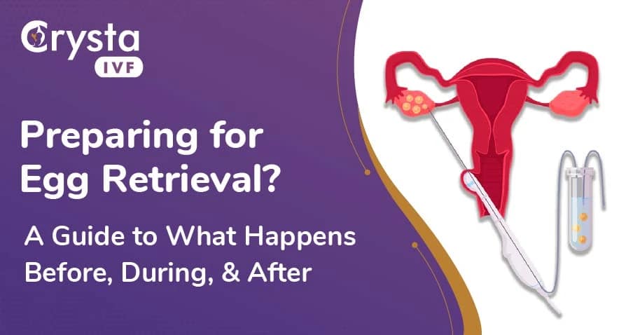 Egg Retrieval Understanding the Process Before, During, & After